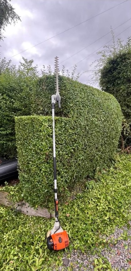 The same privet hedge cut into a crisp, square shape