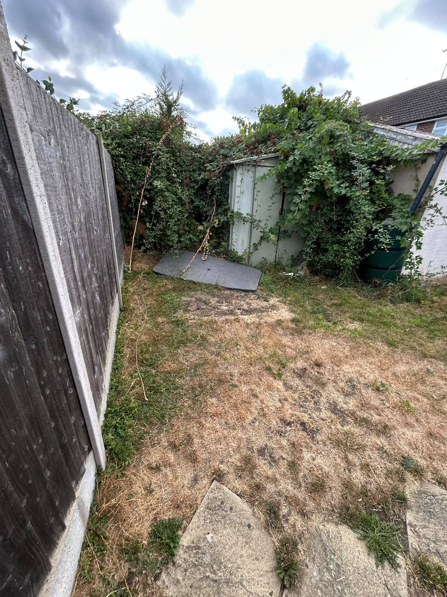 An overgrown garden being cleared of weeds and green waste