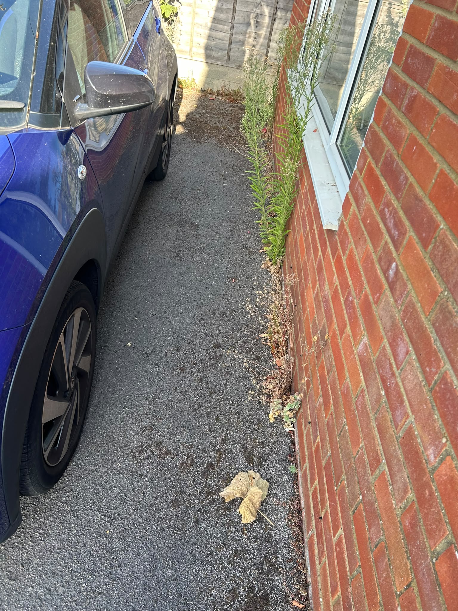 A narrow side passage with self-set weeds cleared away from the wall